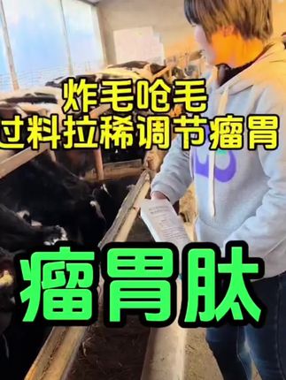 #养牛 #牛羊养殖