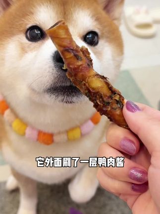 发明这个磨牙棒的人真的很懂狗!有夹心的牛皮卷太香了#家有馋狗 #萌宠好物 #磨牙棒 #宠物零食