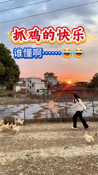 抓鸡的快乐,谁懂啊……😂😂#秀出家乡美 #民间实拍 #农村欢乐多 #致我们逝去的童年 #抓鸡的快乐