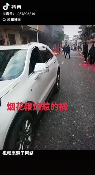 鞭炮烟花 烟花爆竹一声响
惊恐声声四处藏
房屋烧烂车也废
无家可归好迷茫