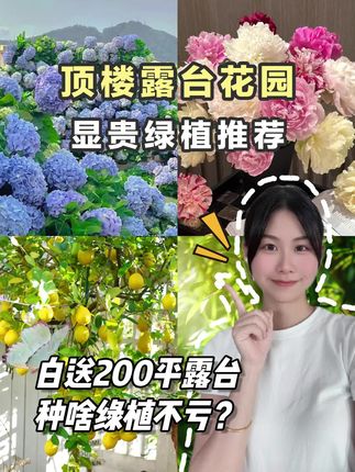 一口的装修日记