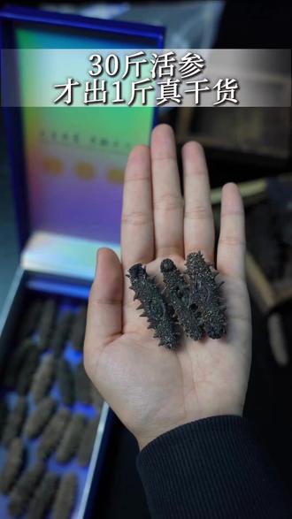 买海参最怕这种“虚胖”,两千和六千的区别,全在水里。 #海参 #辽湾时代 #海参的吃法 #海参的疗效 #辽湾时代