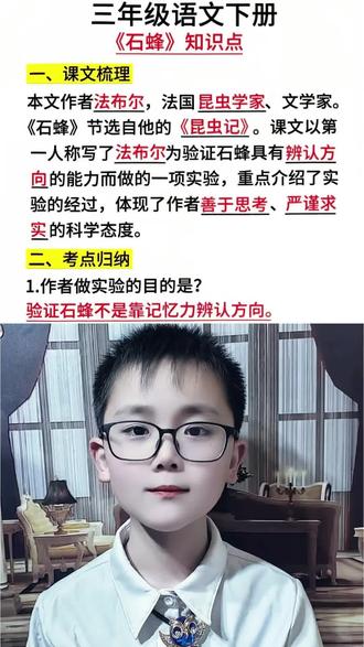 三年级语文下册第三单元《石蜂》知识点归纳总结#知识点总结#三年级语文 #三年级语文知识