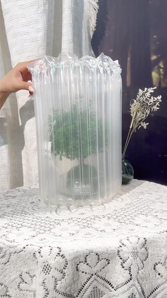 🍃南方北方都能养的超绝小叶赤楠 #小叶赤楠 #热点 #绿植盆栽 #水培植物 #赤楠养护