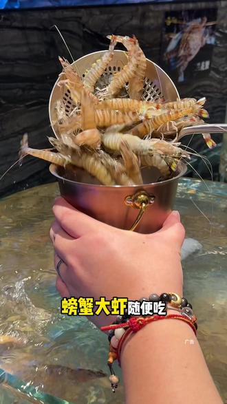环璟海鲜自助(温州万象城店) 新店开业!第一波单人200多畅吃全场,性价比拉满,喜欢吃海鲜自助餐的闭眼囤#自助餐#自助餐的正确吃法 #海鲜自助餐 #海鲜自助 #新店开业