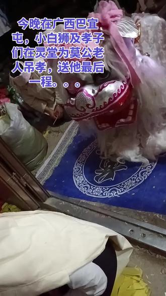 愿莫公老人好好安息,孝子们节哀顺变#白狮吊孝