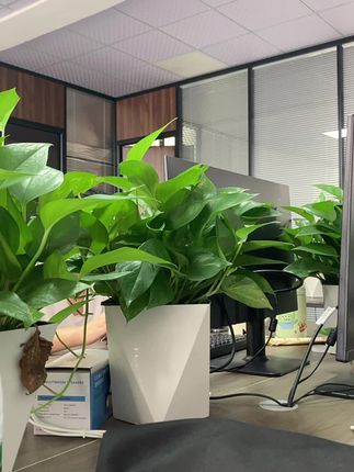 儿童家教伸缩指读棒早教绘本/辅导作业/挂图学习认读玩具汉语拼音 #指挥棒 #儿童指挥棒 #伸缩指读棒 #指读棒#早教指读棒