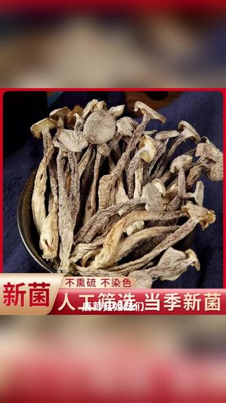鹿茸菇干 鲜鹿茸菇,煲汤绝了! #鹿茸菇 #煲汤食材 #农家特产 #干货 #美食