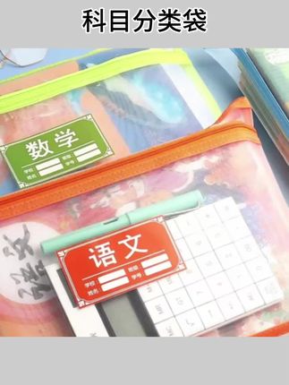 #科目分类袋 学科科目分类透明网纱双层大容量A4拉链文件袋小学生收纳用#双层分类袋#文件袋 #拉链文件袋 #透明网纱收纳袋