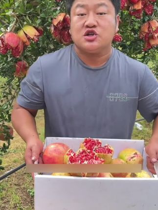 请大家听我说两句,就两句,#强烈推荐 #新鲜采摘 #软籽石榴