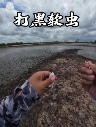 打黑软虫远投技巧#软虫打黑#路亚打黑#雷强路亚黑鱼