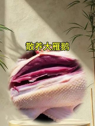 #大雁鹅 #鹅 #优质农产品 #好吃不贵经济实惠 #超便宜超划算
