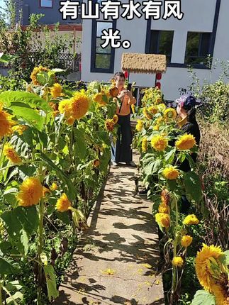 #天然氧吧 #我的乡村生活 #乡村振兴dou行动 #纪录美好生活