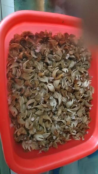 鲜活现瓣的螃蜞鳌采购到家,有需要螃蜞鳌,精品花雕熟醉蟹可在下午五点前联系我或到华士新世界商业广场第四排最南边(陆上鲜)捞汁小海鲜那里购买!