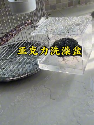 小八八亚克力洗澡盆圆笼方笼外挂洗澡盆
