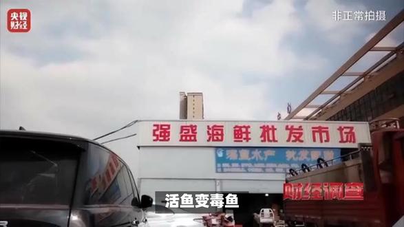 央视曝光“麻醉鱼”乱象:你买的活鱼,可能比死鱼还毒!