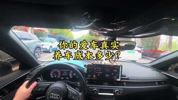 你的爱车一年养护成本多少,贴出来看看??#我要上热门 #奥迪 #奥迪a4l #爱车养护 #养车成本