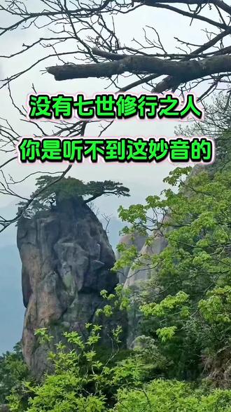 #修行 #涨知识 #知识分享
阿(a)、啰(ra)、跛(pa)、左(ca)、曩(na)、擺(la)、娜(da)、么(ba)、孥(da)、洒(sa)、縛(va)、多(ta)、野(ya)、瑟吒(sta)、迦(ka)、娑(sa)、莽(ma)、識(ga)、他(tha)、惹(ja)、娑縛(sva)、驮(dha)、舍(sa)、怯(kha)、讫洒(ksa)、娑多(sta)、娘(na)、啰他(rtha)、婆(bha)、磋(cha)、娑么(sma)、诃嗯(hva)、哆娑(tsa)、伽(gha)、姹(tha)、停(na)、颇(pha)、塞迦(ska)、也娑(ysa)、室左(sca)、吒(ta)、荼(dha)