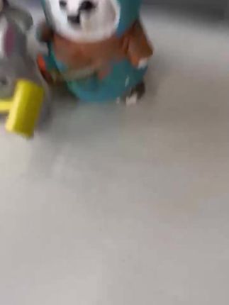 一次性印花卡通鞋套无纺布加厚防滑耐磨脚套清爽室内透气打扫两用#鞋套 #一次性鞋套 #印花鞋套 #卡通鞋套 #加厚鞋套