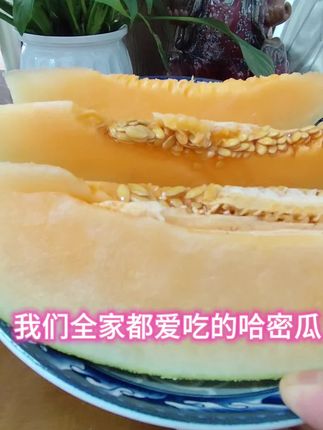 你看这个哈密瓜,真的是老人,小孩、全家都喜欢吃噢!#哈密瓜 #新疆哈密