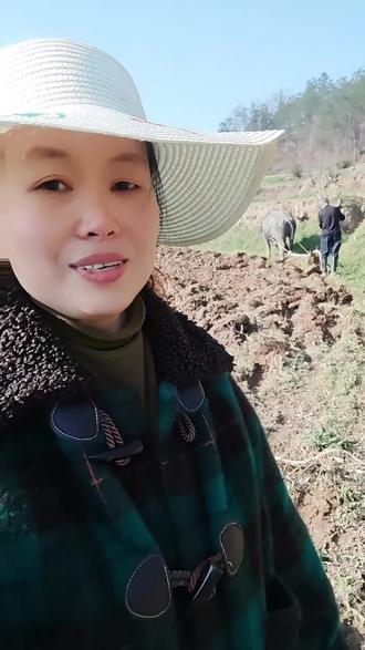 油菜花期打平衡酶,别再误伤蜜蜂了!#油菜花 #蜜蜂 #平衡酶#三农 #农业技术