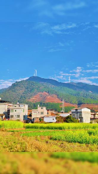 油菜花开的好漂亮😋#乡村风景 #家乡的油菜花