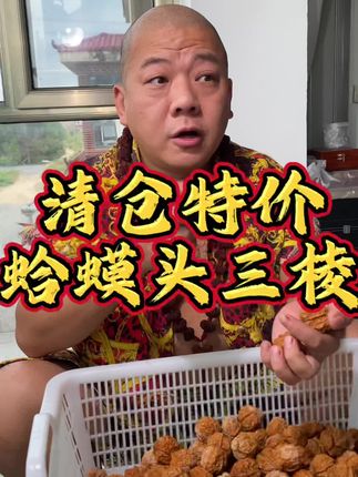 云铁名款 蛤蟆头三棱 款式可选#文玩核桃 #文玩爱好者 #蛤蟆头