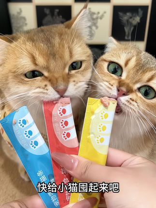 真没想到9块9竟然买到70支猫条,而且还是三种口味的鲜肉猫条,猫猫都很爱吃#养猫人 #记录猫咪日常 #猫条