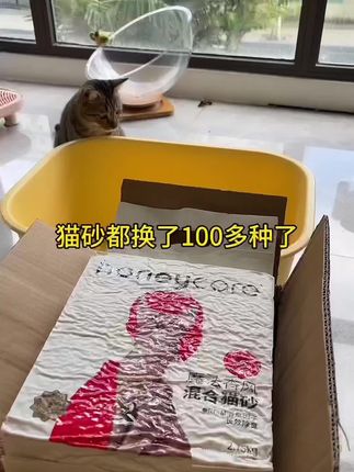 猫砂都换了100多种了,幸亏养猫的闺蜜推荐给我,魔法香风技术遇水释香,长效除臭#新手养猫 #好命天生 #好命天生猫砂 #好命天生魔法香风混合猫砂