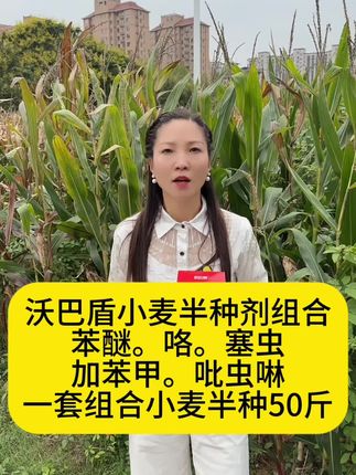 沃巴盾小麦半种剂组合,苯醚。咯。塞虫,加苯甲。吡虫啉,一套组合小麦半种50斤#沃巴盾小麦半种剂组合#沃巴盾小麦半种#小麦半种剂组合#小麦半种#小麦半种剂
