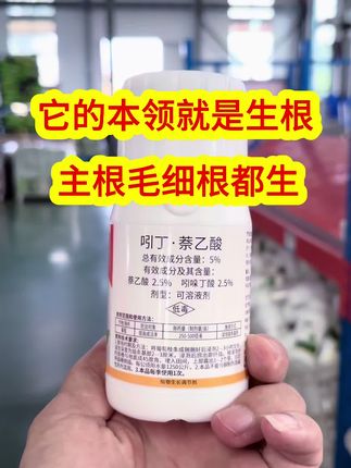 生根剂就用它 #三农服务 #种植小技巧 #现代农业 #农业知识