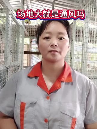 #狗狗#自繁自养