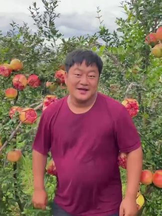 不用吐籽的#石榴 你们吃过吗?错过就要等一年了,一口下去清甜爽口!#新鲜采摘 #优质农产品 #应季水果 #农产品 喜欢的下单吧!