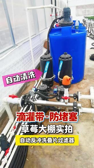 草莓大棚滴灌带,如何防止滴头堵塞? 大棚水肥一体化灌溉,就怕滴灌带堵塞!大丰收灌溉叠片过滤器,轻松过滤水中杂质,自动清洗叠片,水肥均匀,草莓长势更好。#草莓大棚 #草莓大棚种植 #滴灌带 #叠片过滤器 #草莓滴灌
