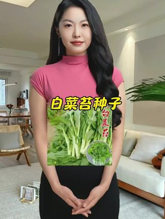 早熟白菜苔种子耐寒耐热菜苔籽多次采收菜心种子#白菜苔种子推荐 #白菜苔种子四季都能种 #白菜苔种子