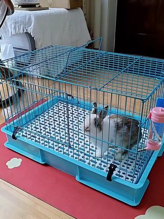 这款兔笼底盘高防喷溅,用来室内养兔子干净卫生,可以养兔子仓鼠荷兰猪等小动物#兔笼#萌宠好物 #萌宠日常记录