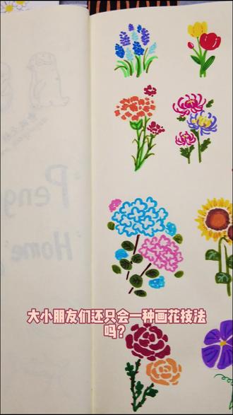 轻松掌握10款花朵画法 |芳华集 冬天到了,春天便不再遥远。#绘画过程 #绘画教程 #简笔画 #儿童画 #手账