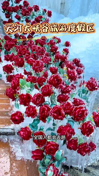 #热门话题 这里不是冰岛 也不是雪乡 这里是河南栾川天河大峡谷花几十体验高山冰挂的壮丽,感受峡谷冰川的震撼,官宣12月26号正式开园。#旅行推荐官 #峡谷冰川#天河大峡谷 #河南美好推荐官