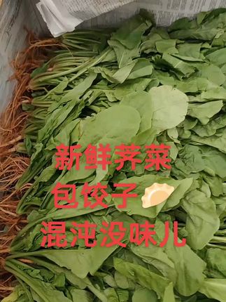 #好货 #快来看看 #记录生活 #看过来 新鲜荠菜饺子🥟🥟混沌