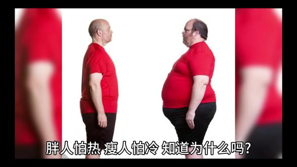 棉袄的故事让你明白:为什么胖人怕热,瘦人怕冷?