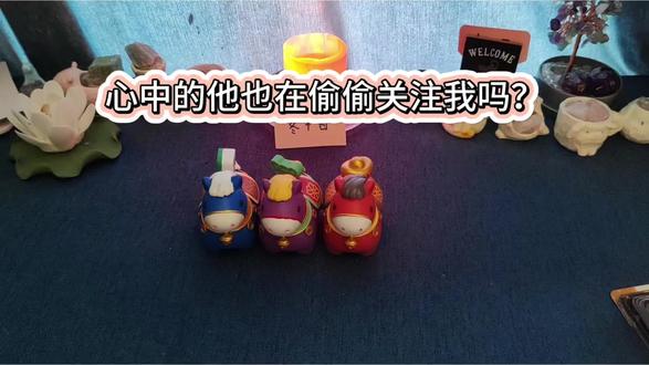 【快占】心中的他也在偷偷关注我吗?#拒绝废话#科普#冷知识#省流 #塔罗 #塔罗测试 #塔罗牌测试 #塔罗牌心测