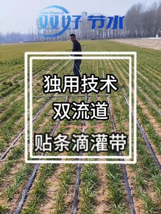 1. 贴条滴灌带,农田里的“智能节水阀”!贴条工艺像道细密关卡,拦下杂质不马虎,水流细匀直抵根处,不跑水、不堵管,每滴水都用在刀刃上,作物喝得饱,长势旺得能比别家快一步,丰收的盼头早早显。 #农业#种植#灌溉#农业种植#三农