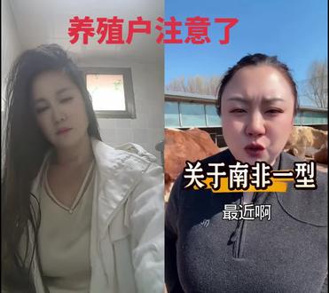 和 @农村蔡小乐的养牛日常 一起 #合拍