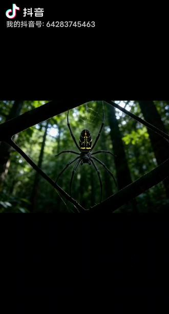 《昆虫记》第八章,八下必考名著阅读理解考点集结讲解