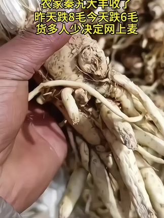 #秦艽 #源头好货 #超便宜超划算 #优质农产品 #抖音助农@巨量千川