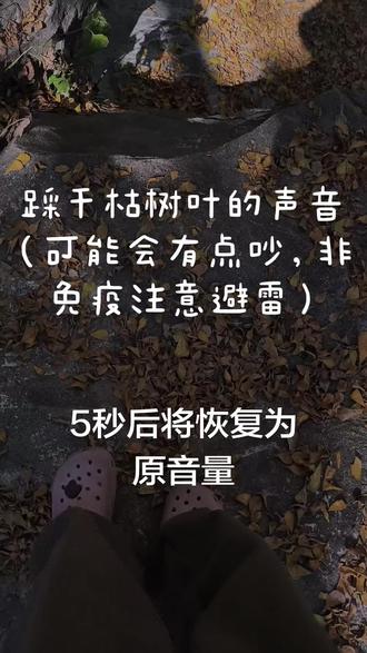 踩干枯树叶的声音,一开始还不太熟练,个人觉得往后拉声音会饱满一些~#asmr助眠视频 #ASMR #解压 #助眠解压 #助眠asmr