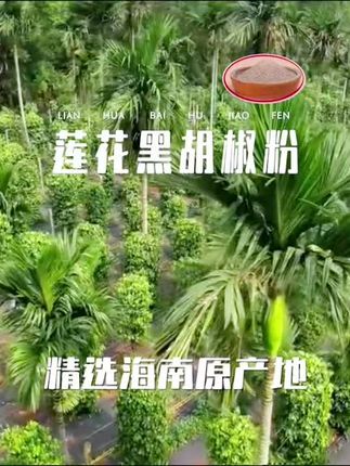 粉丝福利 黑胡椒粉30g 中西餐牛排意面调料撒料烤肉烧烤香辛料#新农人计划 #三农种植 #调味料 #好物推荐🔥 #莲花味精