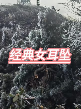#耳坠 #耳坠耳环 #耳饰