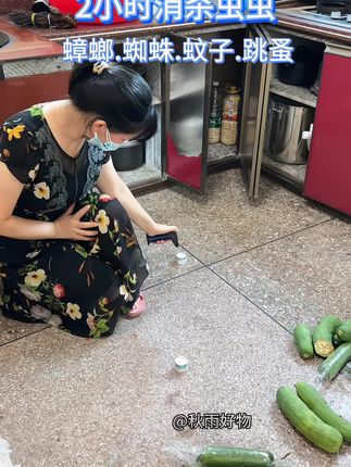 家里总有蟑螂,跳蚤,蜘蛛,苍蝇,蛾蚋,就用这个#杀蟑烟雾剂 关闭门窗点燃人和宠物要离开屋子,2小时后打开门窗通风即可#蟑螂药#杀虫剂 #病虫害防治
