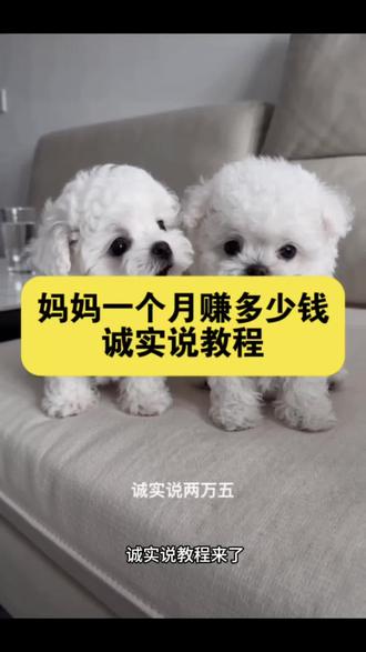 你妈妈一个月多少钱诚实说ai指令 你妈妈一个月赚多少钱诚实说ai制作
你妈妈一个月赚多少钱诚实说ai指令 你妈妈一个月多少钱诚实说,#ai猫咪工资的谎言 ai萌宝工资的谎言 ai两只小猫视频特效教程 你妈妈一个月工资几千块特效入口 猫咪ai 两只猫AI互怼 AI猫咪怼人对话 猫咪AI搞笑对话 两只猫ai互动视频 猫咪ai对话特效 最近3天火爆萌宠视频 小狗小猫ai视频 #两只猫对话ai视频制作 猫咪AI对口型 小猫AI搞笑配音 两只猫ai对话怎么拍 两只猫对话ai制作教程 ai猫对话视频制作教程 AI萌宠对话教程 猫咪AI语音对话 两只猫AI拌嘴 小猫AI吐槽视频 两只猫AI聊天 ai视频对话生成器 宠物AI对话生成 萌宠AI对话特效 猫狗AI互动视频 宠物AI短剧制作 萌宠AI对话模板 猫咪AI对话教学 猫咪AI脱口秀视频 你妈妈一个月工资几千块教程 你妈妈一个月工资 你妈妈一个月工资ai 你妈妈一个月工资几万ai制作口令 你妈妈一个月工资几千块是多少钱 你妈妈一个月工资ai怎么做 你妈妈一个月工资几千块同款 你妈妈一个月挣多少钱 两只猫对话ai怎么做 #即梦AI#AI分身戏精大赛#我的AI分身杀疯了